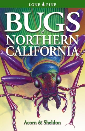 Beispielbild fr Bugs of Northern California zum Verkauf von Better World Books