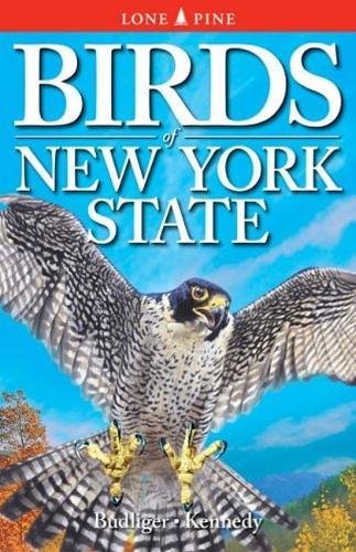 9781551053264: Birds of New York State
