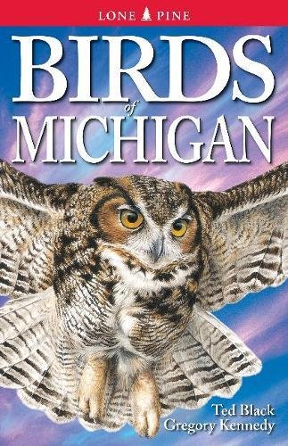 Stock image for Birds of Michigan for sale by The Book Bin