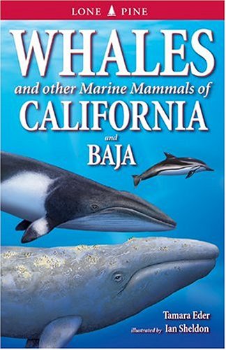 9781551053424: Whales and Other Marine Mammals of California and Baja