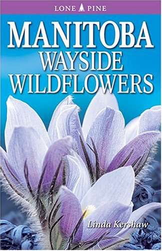 Beispielbild fr Manitoba Wayside Wildflowers zum Verkauf von Books on the Web