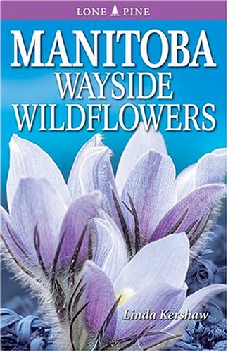 Manitoba Wayside Wildflowers (9781551053523) by Kershaw, Linda