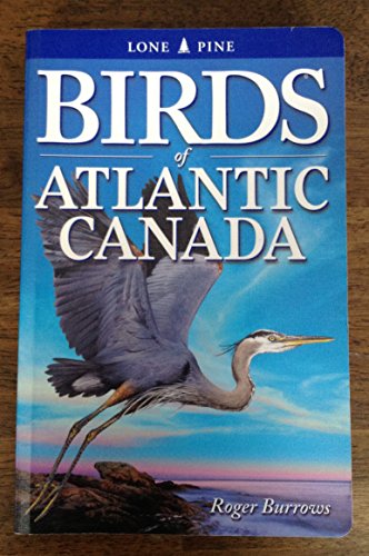 Stock image for Birds of Atlantic Canada for sale by Cottage Street Books