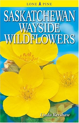 Imagen de archivo de Saskatchewan Wayside Wildflowers a la venta por ThriftBooks-Dallas