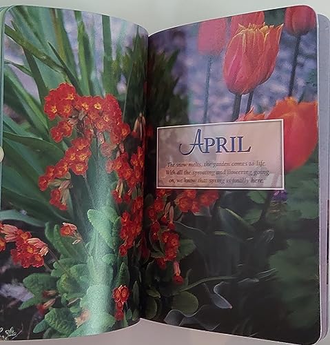 Stock image for Gardening Month by Month in Michigan for sale by Better World Books