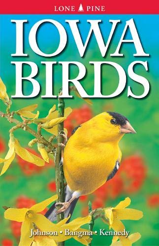 Stock image for Iowa Birds for sale by ThriftBooks-Atlanta