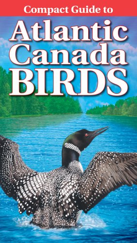 Beispielbild fr Compact Guide to Atlantic Canada Birds zum Verkauf von ThriftBooks-Atlanta