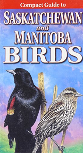 Beispielbild fr Compact Guide to Saskatchewan and Manitoba Birds zum Verkauf von ThriftBooks-Dallas
