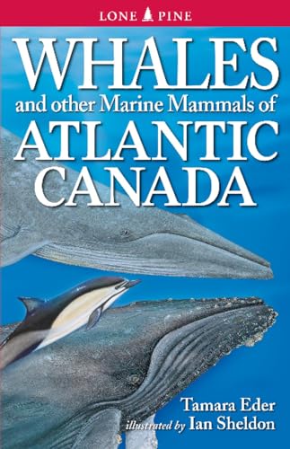 Whales and Other Marine Mammals of Atlantic Canada (9781551058825) by Eder, Tamara