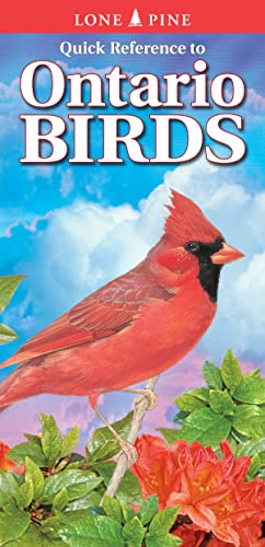 Stock image for Quick Reference to Ontario Birds for sale by GF Books, Inc.