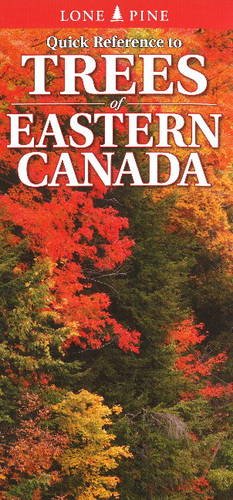 Stock image for Quick Reference to Trees of Eastern Canada for sale by GF Books, Inc.