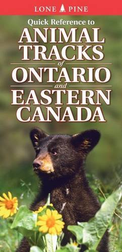 9781551059037: Quick Reference to Animal Tracks of Ontario and Eastern Canada