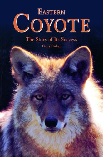9781551091112: Eastern Coyotes: The Story of Its Success