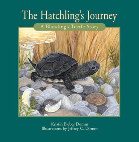 Imagen de archivo de Hatchling's Journey (Natural Heroes) a la venta por Your Online Bookstore