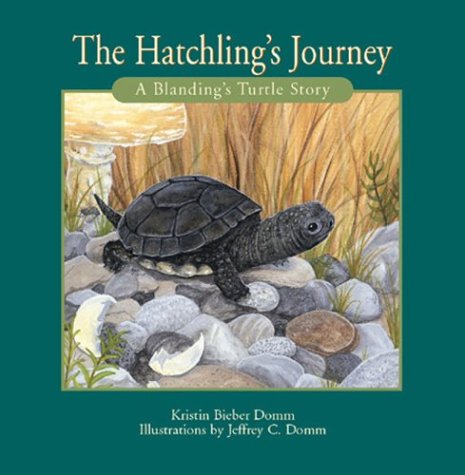 9781551094380: Hatchling's Journey