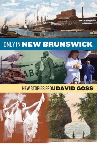 Stock image for Only in New Brunswick; New Stories from David Goss for sale by Dave Shoots, Bookseller
