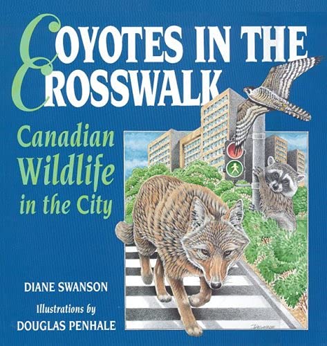 Beispielbild fr Coyotes in the Crosswalk: Canadian Wildlife in the City zum Verkauf von AwesomeBooks