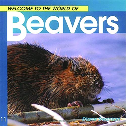 9781551108537: Welcome to the World of Beavers