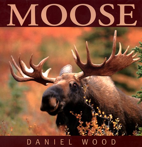 Moose (9781551109503) by Wood, Daniel