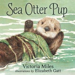 9781551430027: Sea Otter Pup