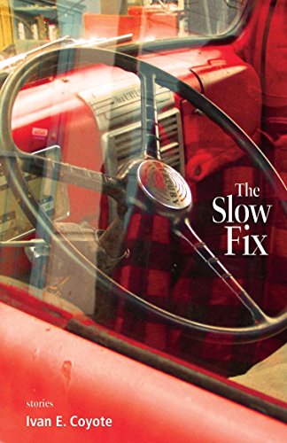 Stock image for The Slow Fix for sale by SecondSale