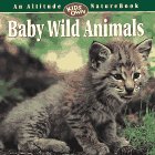 9781551530819: Baby Wild Animals