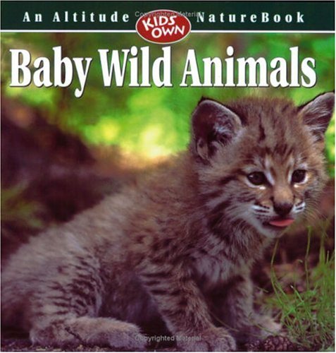 Beispielbild fr Baby Wild Animals zum Verkauf von Wonder Book