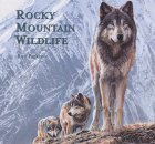 Imagen de archivo de Rocky Mountain Wildlife a la venta por The Warm Springs Book Company