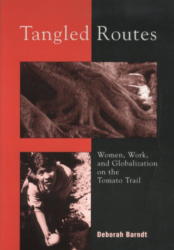 9781551930428: Tangled Routes: Women, Work, and Globalization on the Tomato Trail