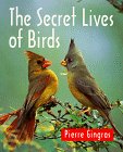 Beispielbild fr The Secret Lives of Birds zum Verkauf von Better World Books: West