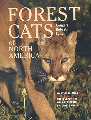Beispielbild fr Forest Cats of North America zum Verkauf von SecondSale
