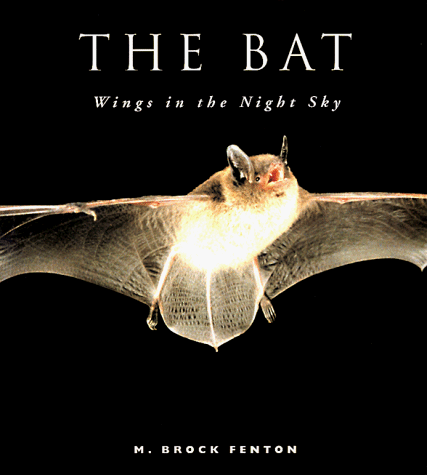 Stock image for The Bat: Wings in the Night Sky for sale by Wonder Book