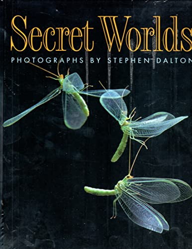 Beispielbild fr Secret Worlds zum Verkauf von Open Books