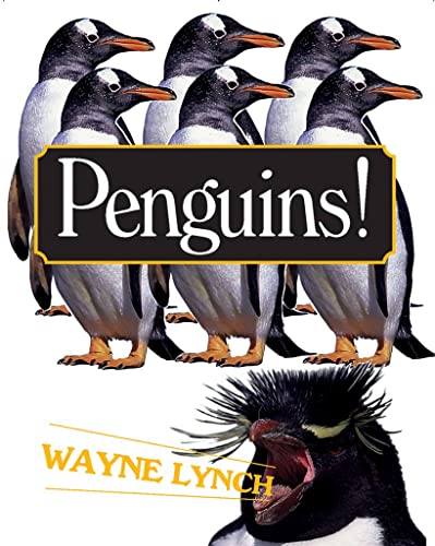 Beispielbild fr Penguins! zum Verkauf von Wonder Book