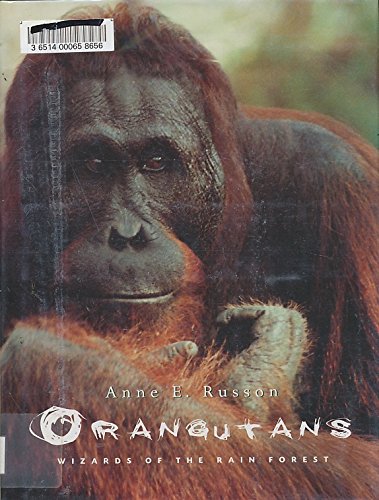 9781552094532: Orangutans: Wizards of the Rain Forest