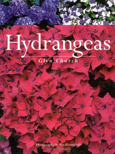 Beispielbild fr Hydrangeas zum Verkauf von BooksRun