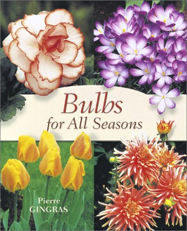 Stock image for Bulbs For All Seasons for sale by Terrace Horticultural Books
