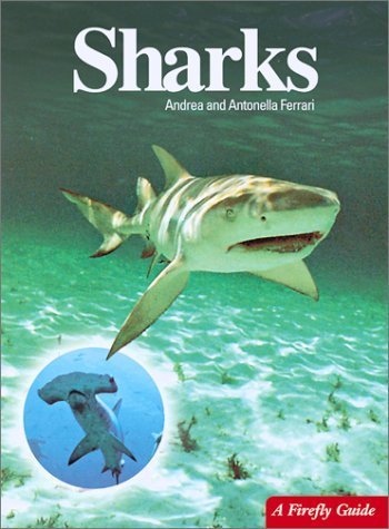 Imagen de archivo de Sharks (A Firefly Guide) a la venta por SecondSale