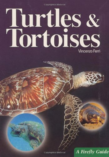 Beispielbild fr Turtles and Tortoises zum Verkauf von Better World Books