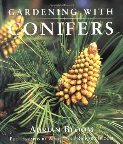 Imagen de archivo de Gardening with Conifers a la venta por Your Online Bookstore