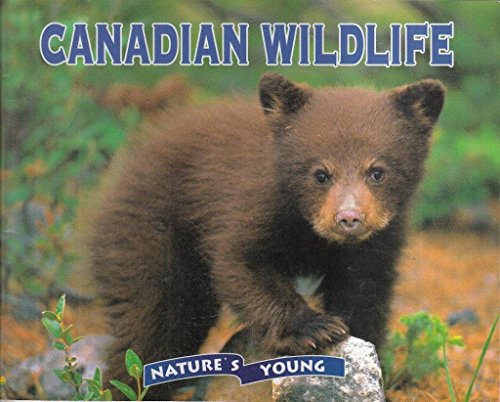 Beispielbild fr Canadian Wildlife - Nature's Young zum Verkauf von AwesomeBooks