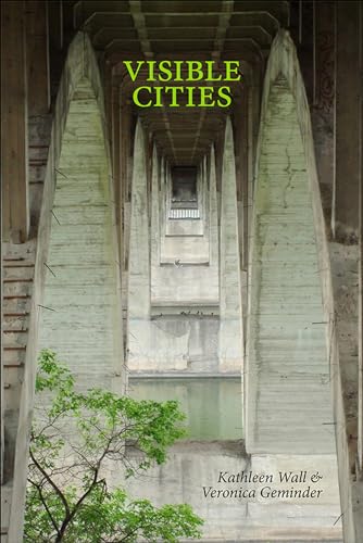 Stock image for Visible Cities (Brave & Brilliant, 4) for sale by Midtown Scholar Bookstore