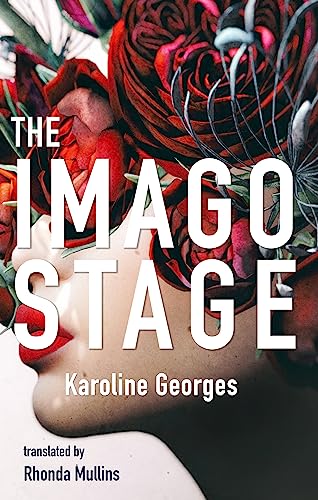 Beispielbild fr The Imago Stage zum Verkauf von Magers and Quinn Booksellers
