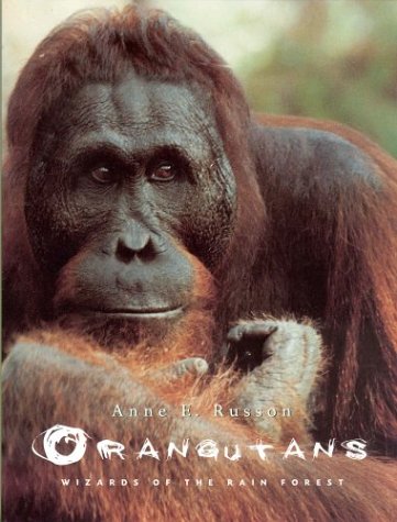 9781552630631: Orangutans: Wizards of the Rain Forest