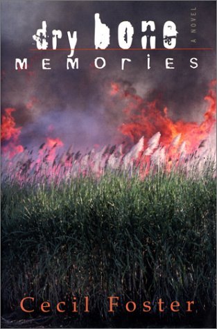 Stock image for Dry Bone Memories for sale by Better World Books
