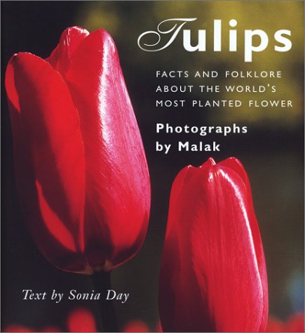 Stock image for Tulips: Facts and Folklore about the World's Most Planted Flower for sale by ThriftBooks-Atlanta
