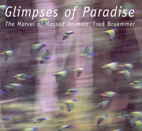 Beispielbild fr Glimpses of Paradise : The Marvel of Massed Animals zum Verkauf von Better World Books