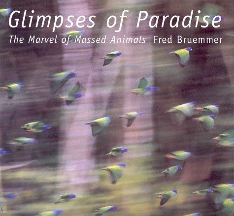 Imagen de archivo de Glimpses of Paradise : The Marvel of Massed Animals a la venta por Better World Books
