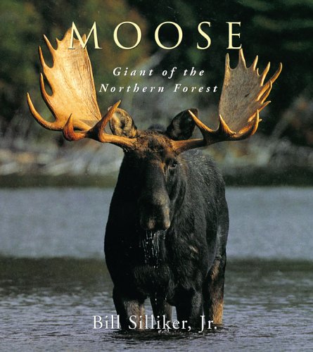 9781552636794: Moose: Giant of the Northern Forest [Paperback] by Silliker Jr., Bill