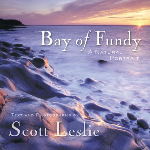 Stock image for Bay of Fundy: A Natural Portrait for sale by ThriftBooks-Dallas